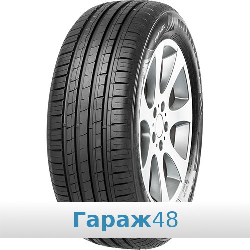 Minerva F209 205/60 R16 96V